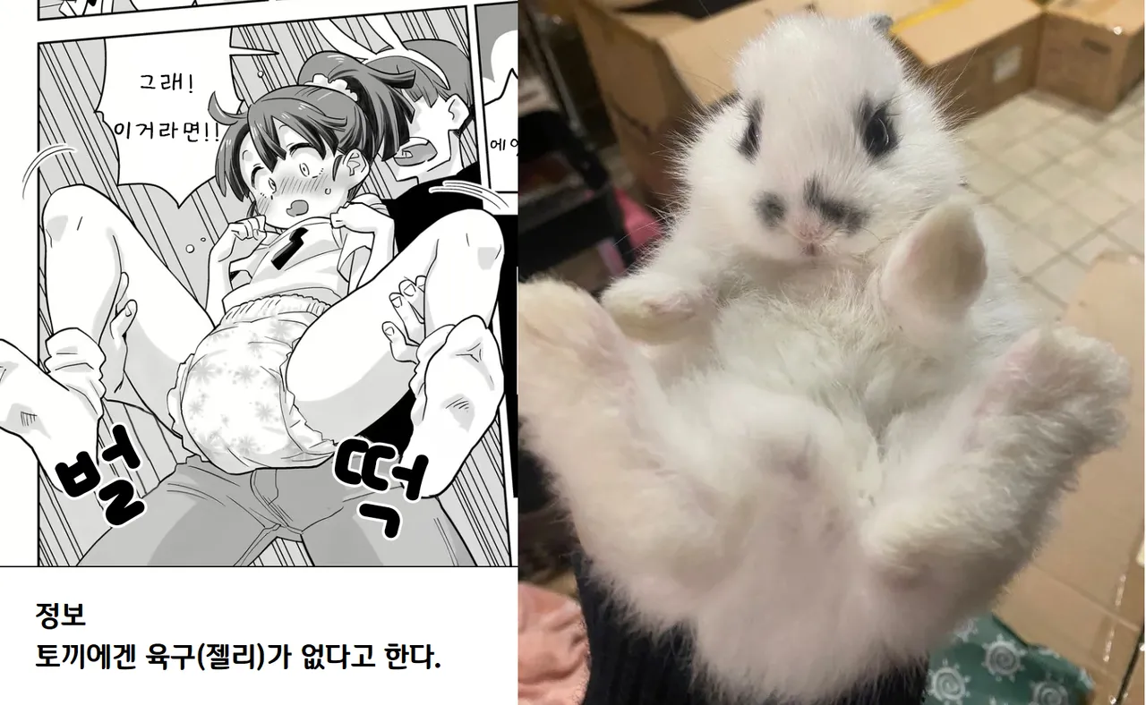 Codename wa 062 | 코드네임은 062 page 9 full