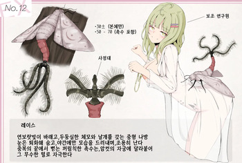 Mushi Research Report EX No.12 cover