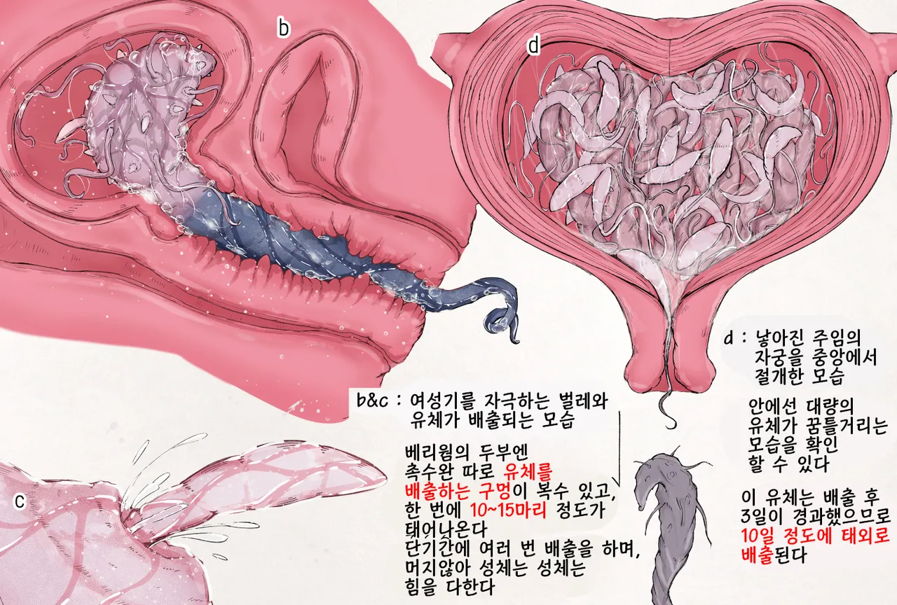 Insect Research Report No.27 | 벌레 연구 보고서 No.27 page 3 full