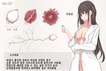 Insect Research Report No.22 | 벌레 연구 보고서 No.22 cover