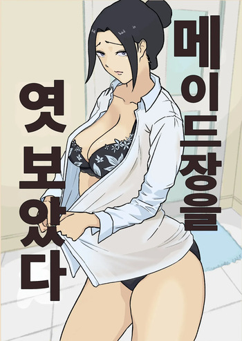 Maid-chou o Nozoite Mita | 메이드장을 엿보았다 cover