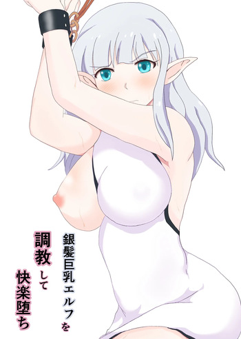 Ginpatsu Elf wo choukyou shite kairaku ochi cover