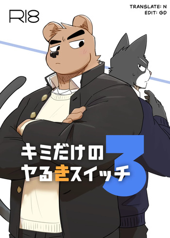 Kimi dake no Yaruki Switch 3 cover