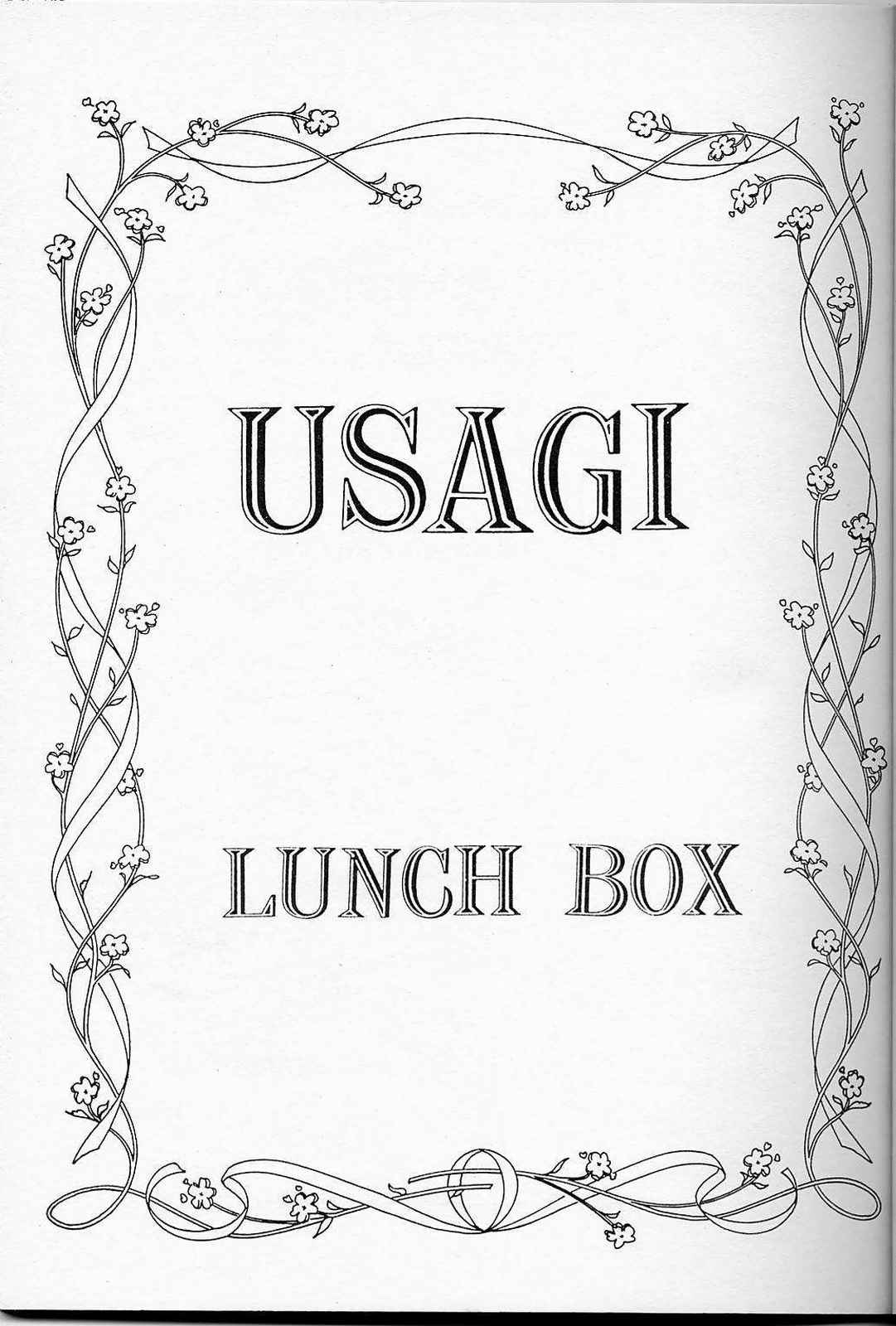 LUNCH BOX 6 USAGi page 2 full