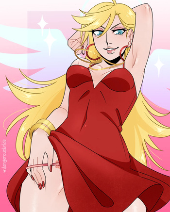 Panty cover