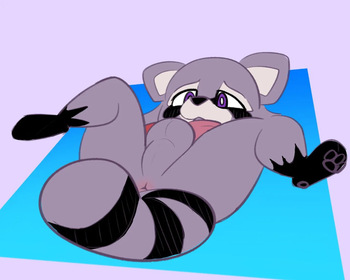 Rambley Raccoon Doodles cover