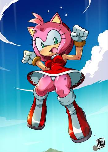 Amy Rose and Cream the Rabbit wind accident cover