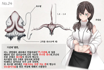 Insect Research Report No.24 | 벌레 연구 보고서 No.24 cover