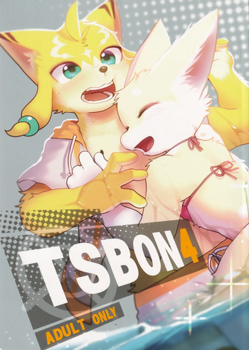 TSBON4 cover