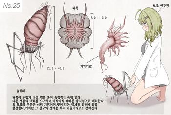 Insect Research Report No.25 | 벌레 연구 보고서 No.25 cover