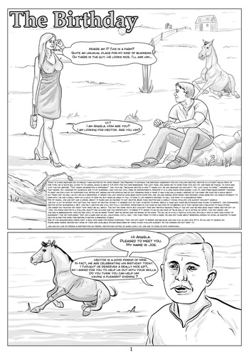 The Birthday cover
