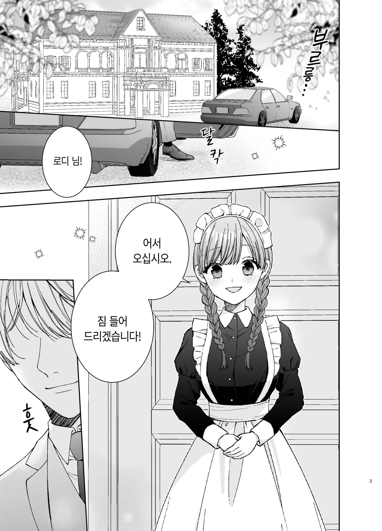 Maid wa Daisuki na Goshujin-sama ni Shitsuke Sareru page 2 full