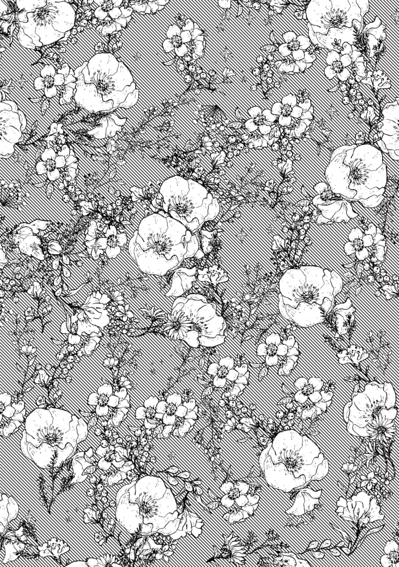 Doku o Kurawaba page 2 full