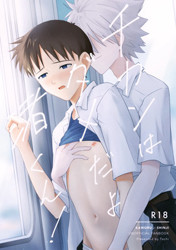 (Kimi to no Rendan 20) [Nichigetsu Seishin (Tachi)] Chikan wa Dame da yo Nagisa-kun! (Neon Genesis Evangelion)