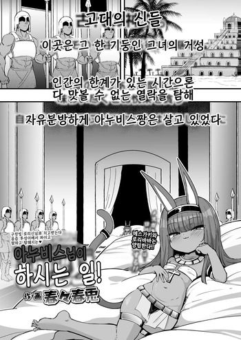 anubis sama no oshigoto | 아누비스님이 하시는 일 cover