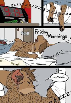 black kitten - Mornings -color