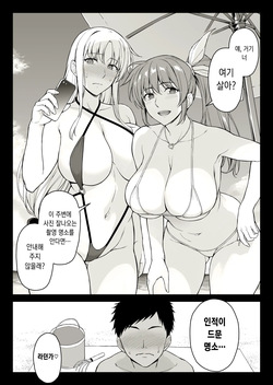 [Ishigaki Takashi] Ecchi na Onee-san-tachi ni Beach de Gyakunansareta Ken (Mahou Shoujo Lyrical Nanoha) [Korean]