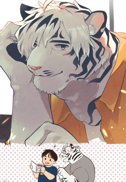 [Sawch_Cls] CV: My Tiger Boyfriend [ENG]