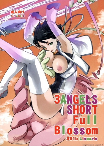 3 ANGELS SHORT Full Blossom #01b Linearis cover