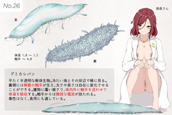 Mushi Research Report No.26