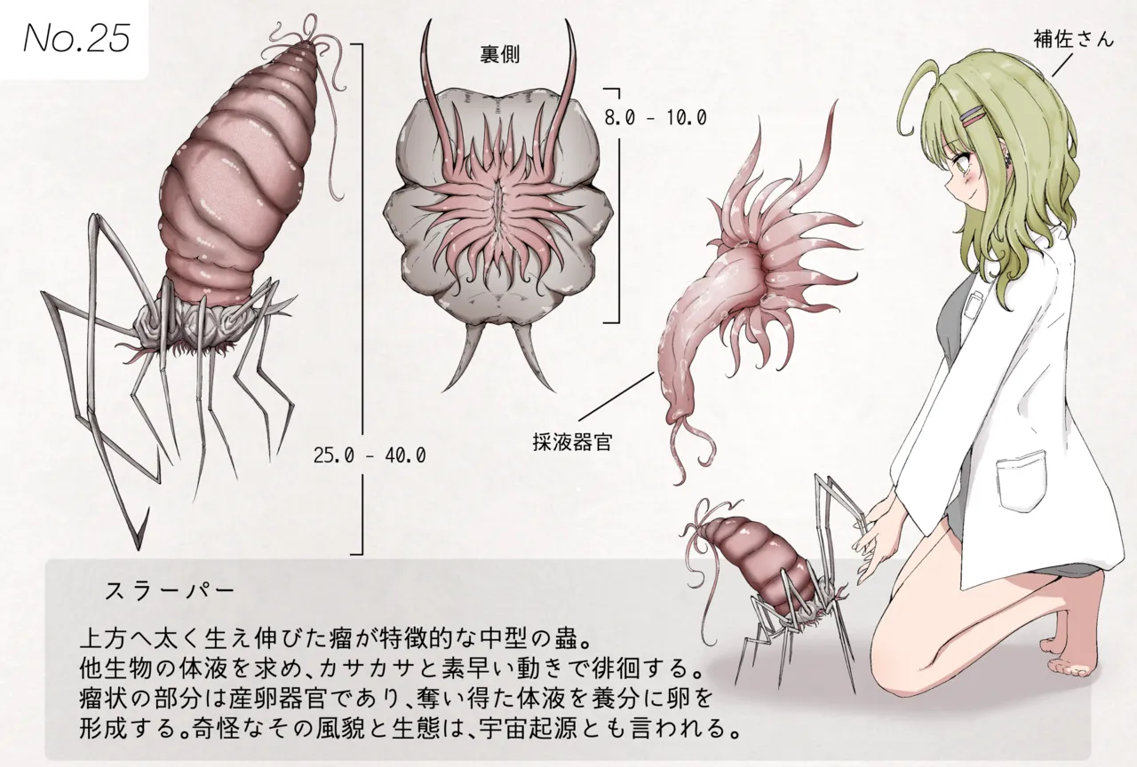 Insect Research Report No.25 page 1 full