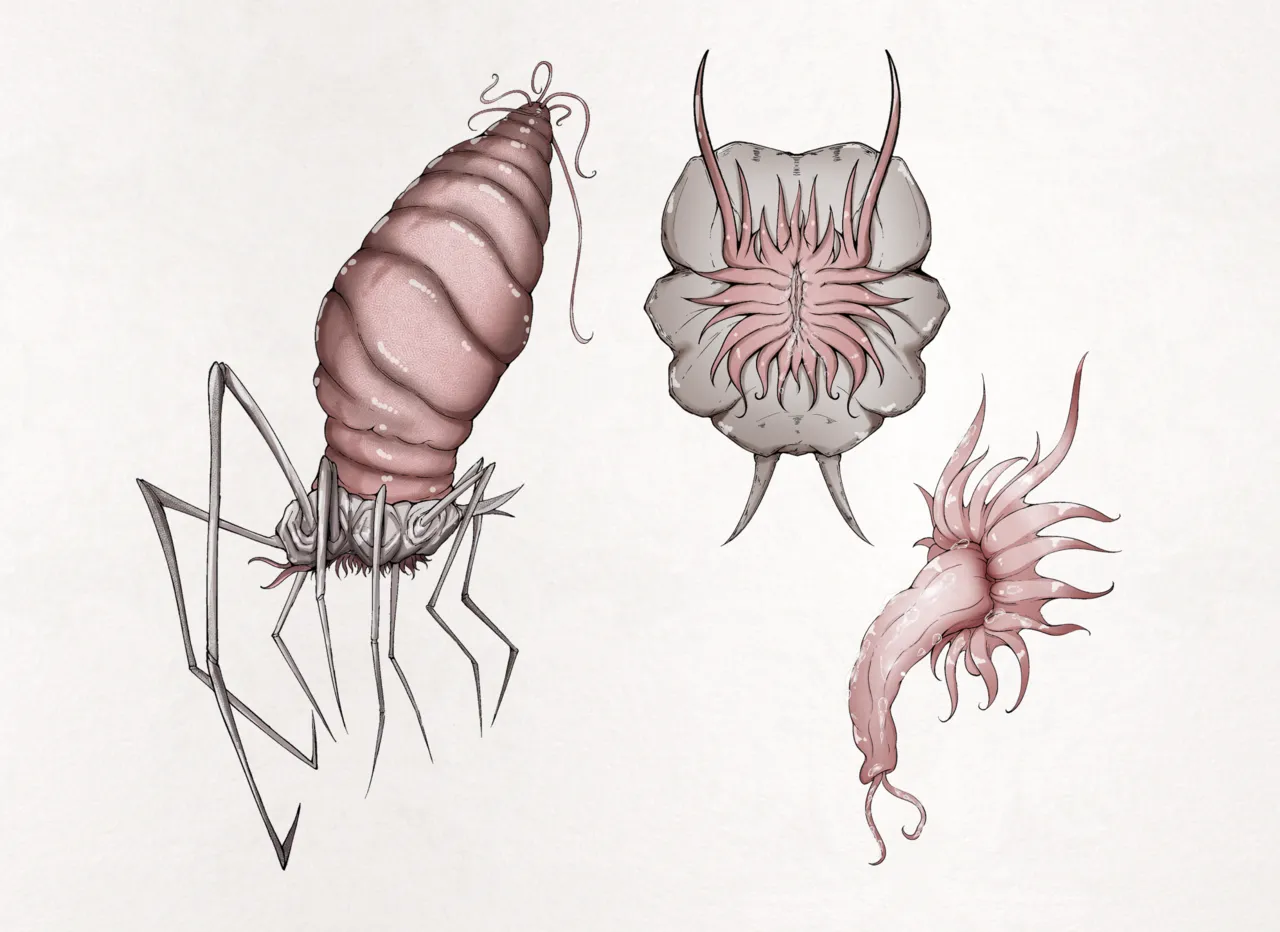 Insect Research Report No.25 page 5 full