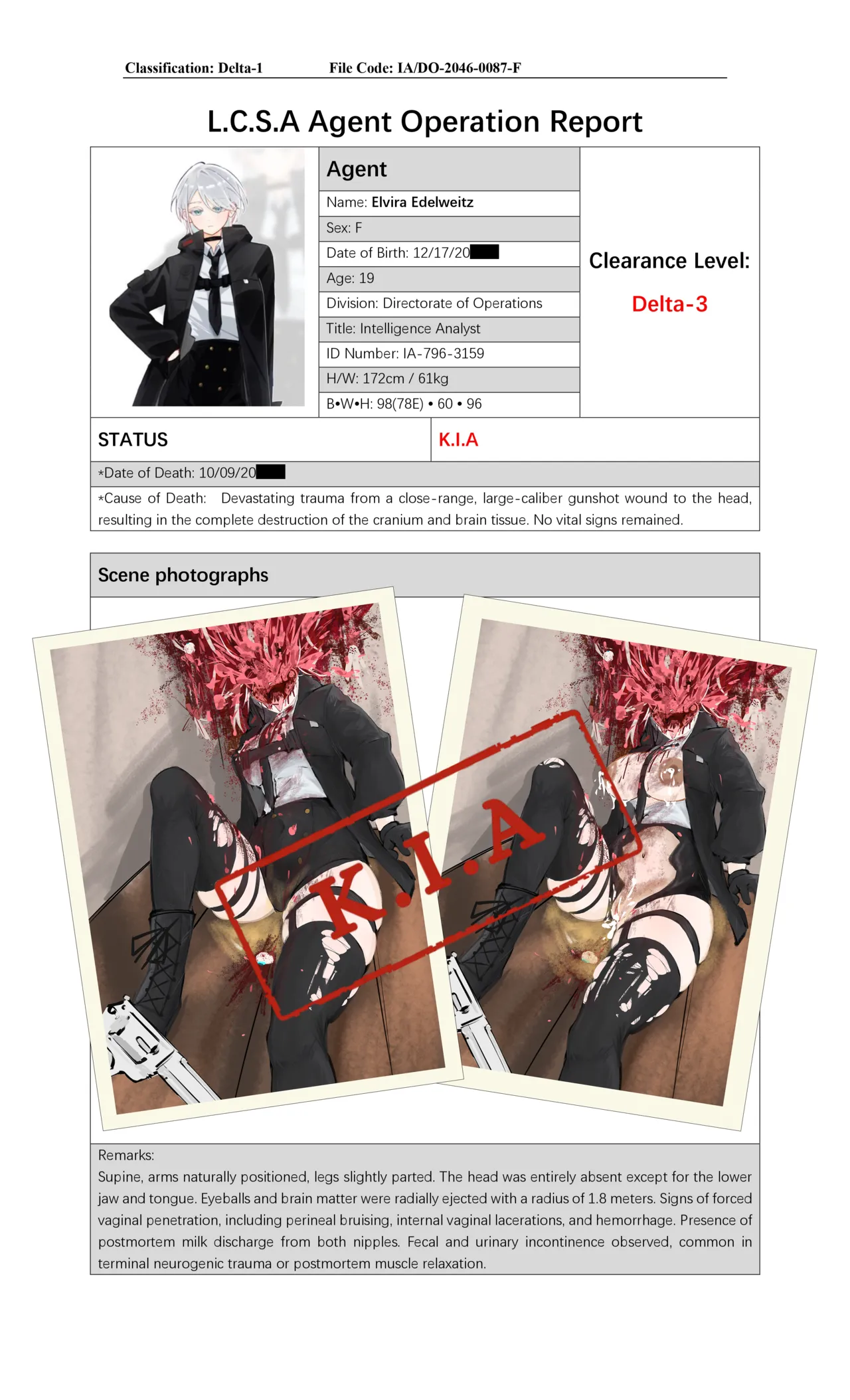 Edelweiss 特工行动报告——K.I.A page 5 full