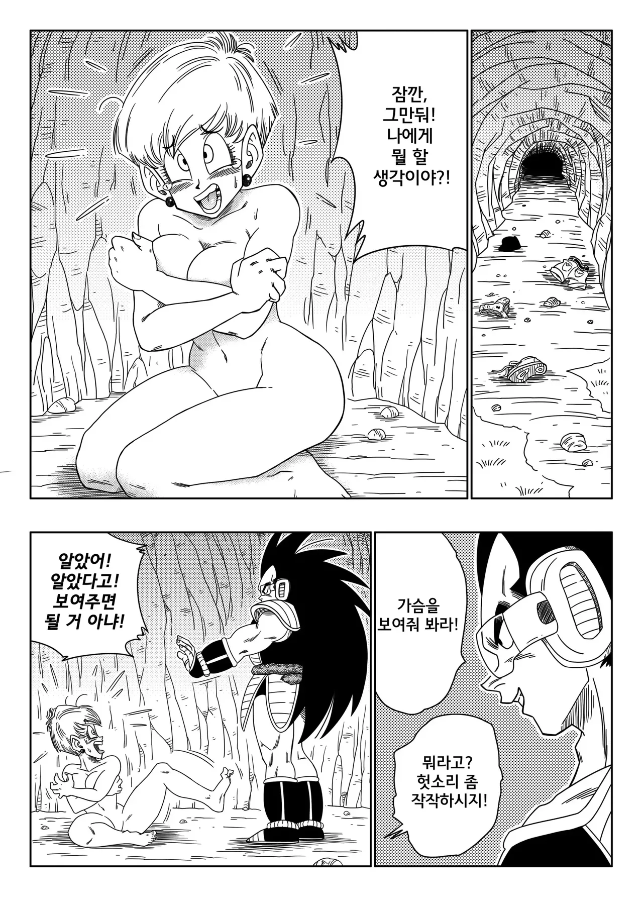 Warui Aniki - Bulma ga Yuukai Sareta! | 나쁜 형님 - 부르마가 유괴당했다! page 8 full