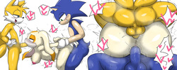 [enigi09] Sonic the Hedgehog Collection