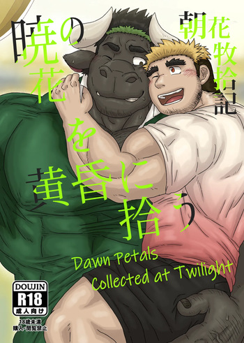 Dawn Petals Collected at Twilight cover