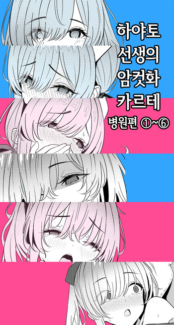 Hayato Sensei no Mesu-ka Karute Byouin-hen 1-6 | 하야토 선생의 암컷화 카르테 병원편 1-6 cover