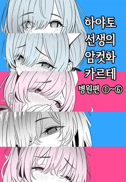 [TuriSasu] Hayato Sensei no Mesu-ka Karute Byouin-hen 1-6 | 하야토 선생의 암컷화 카르테 병원편 1-6 [Korean]
