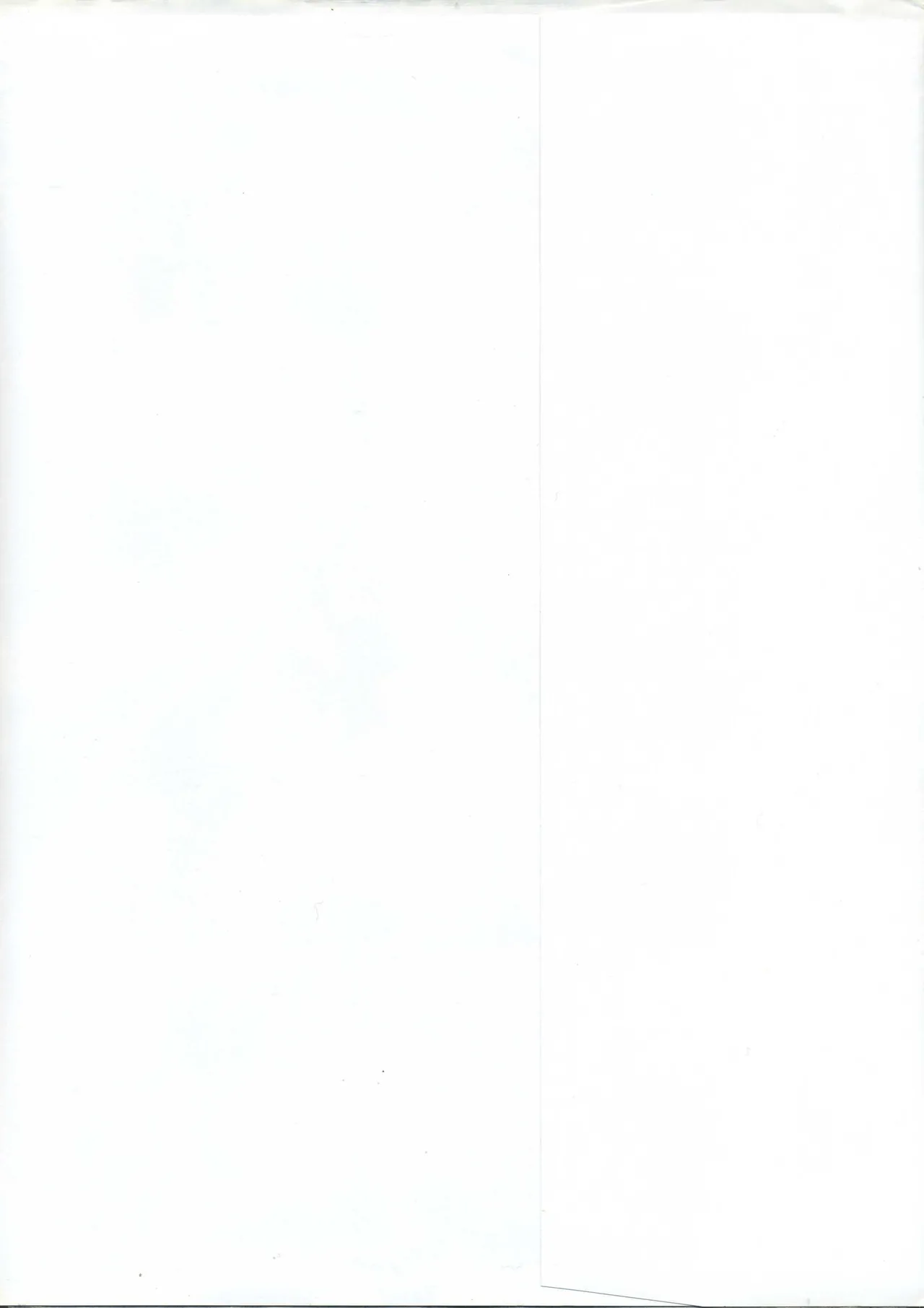 エルフィーナ‐淫夜へと売られた王国で…‐設定原画集 page 4 full