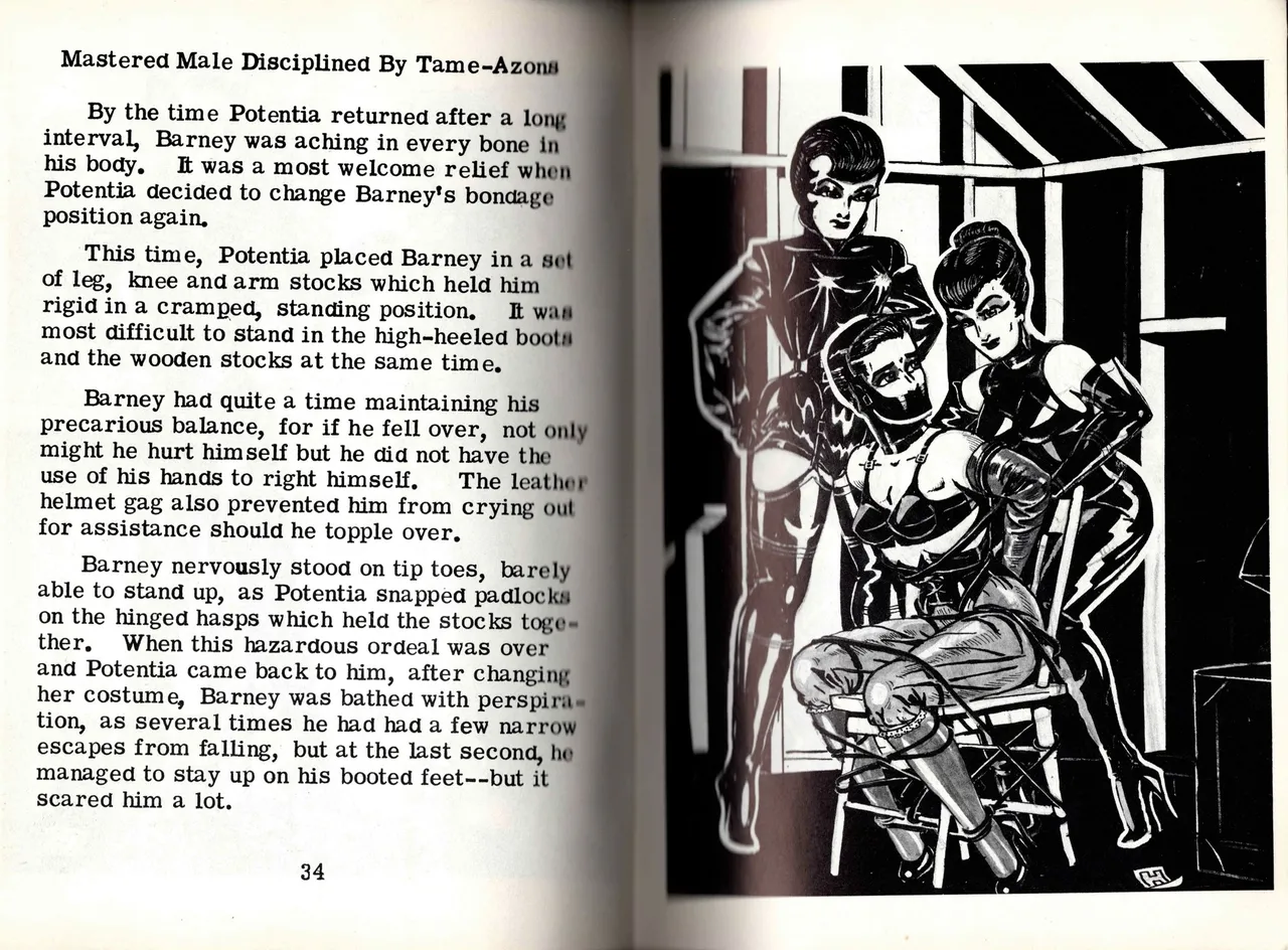 Harry - Mastered Male Disciplined by Tame-Azons page 10 full