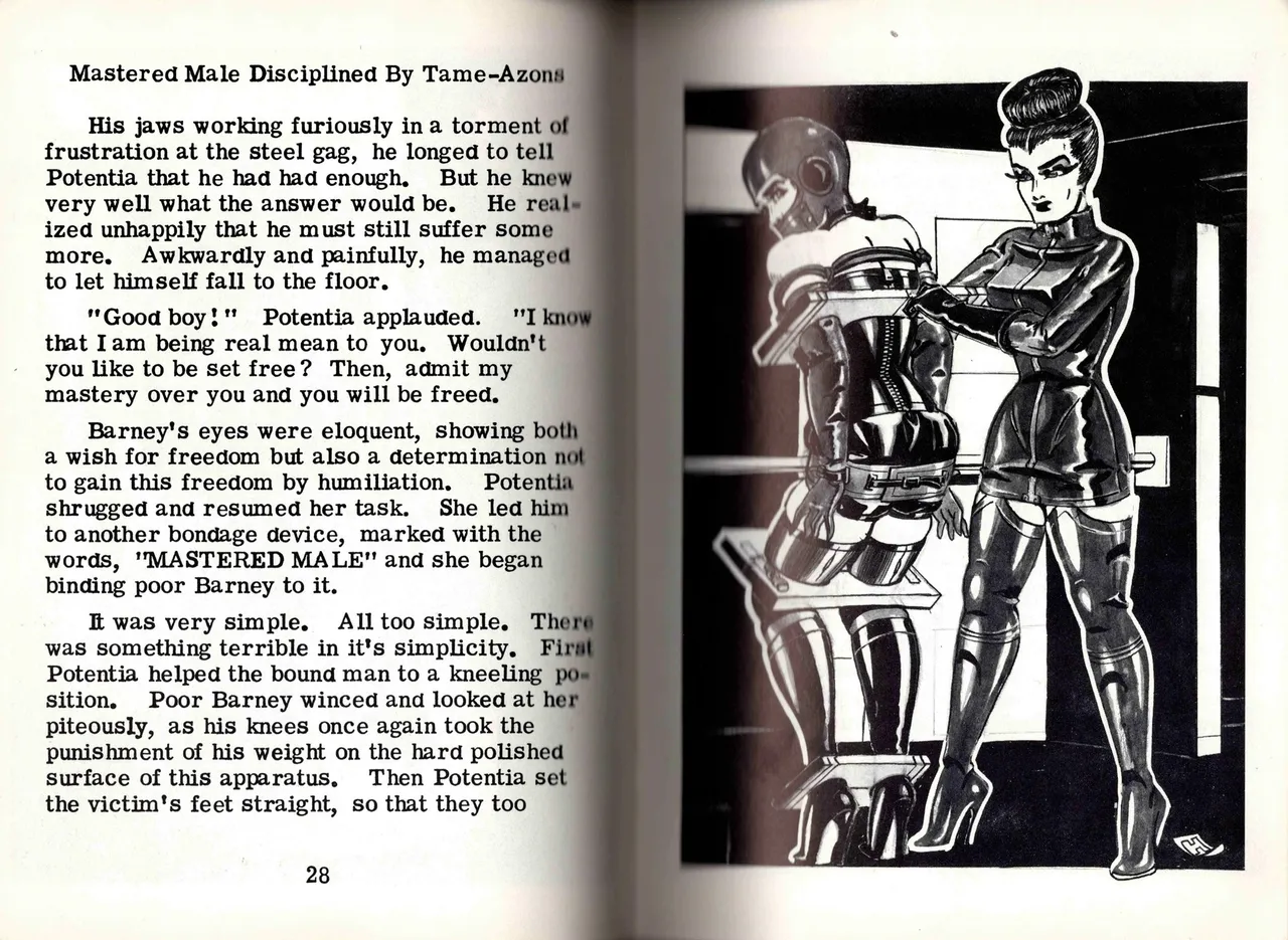Harry - Mastered Male Disciplined by Tame-Azons page 7 full