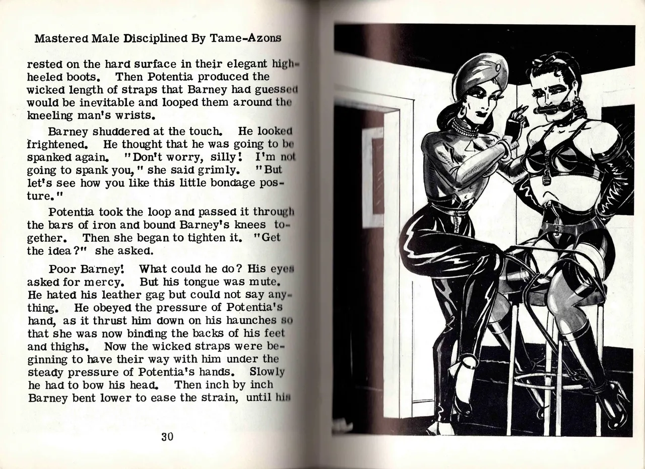 Harry - Mastered Male Disciplined by Tame-Azons page 8 full