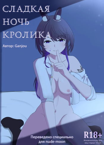 Rabbit's Sweet Night cover