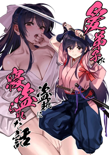 Aideshi ga touzoku ni netorareta hanashi cover