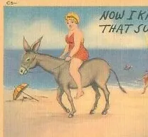 DONKEY BEACH RIDING page 3 full