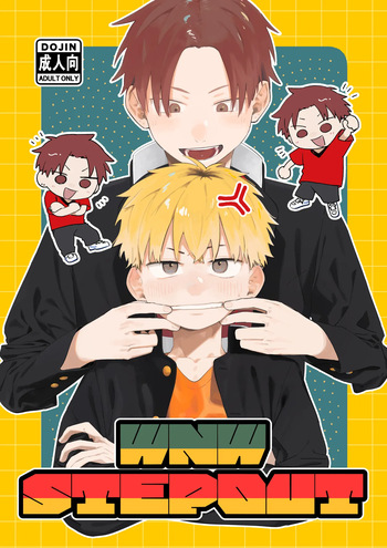 WNWSTEPOUT cover