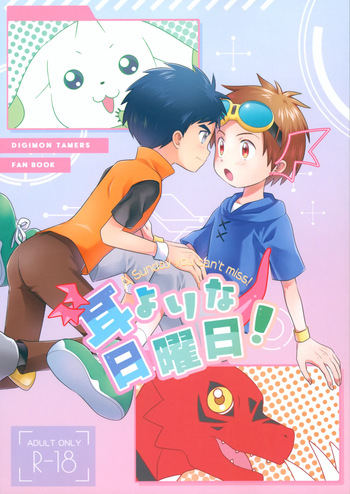 Mimiyori na Nichiyoubi! cover