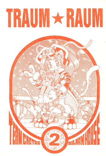 TRAUM RAUM 2 cover