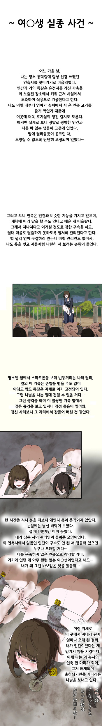 여고생 실종사건 cover