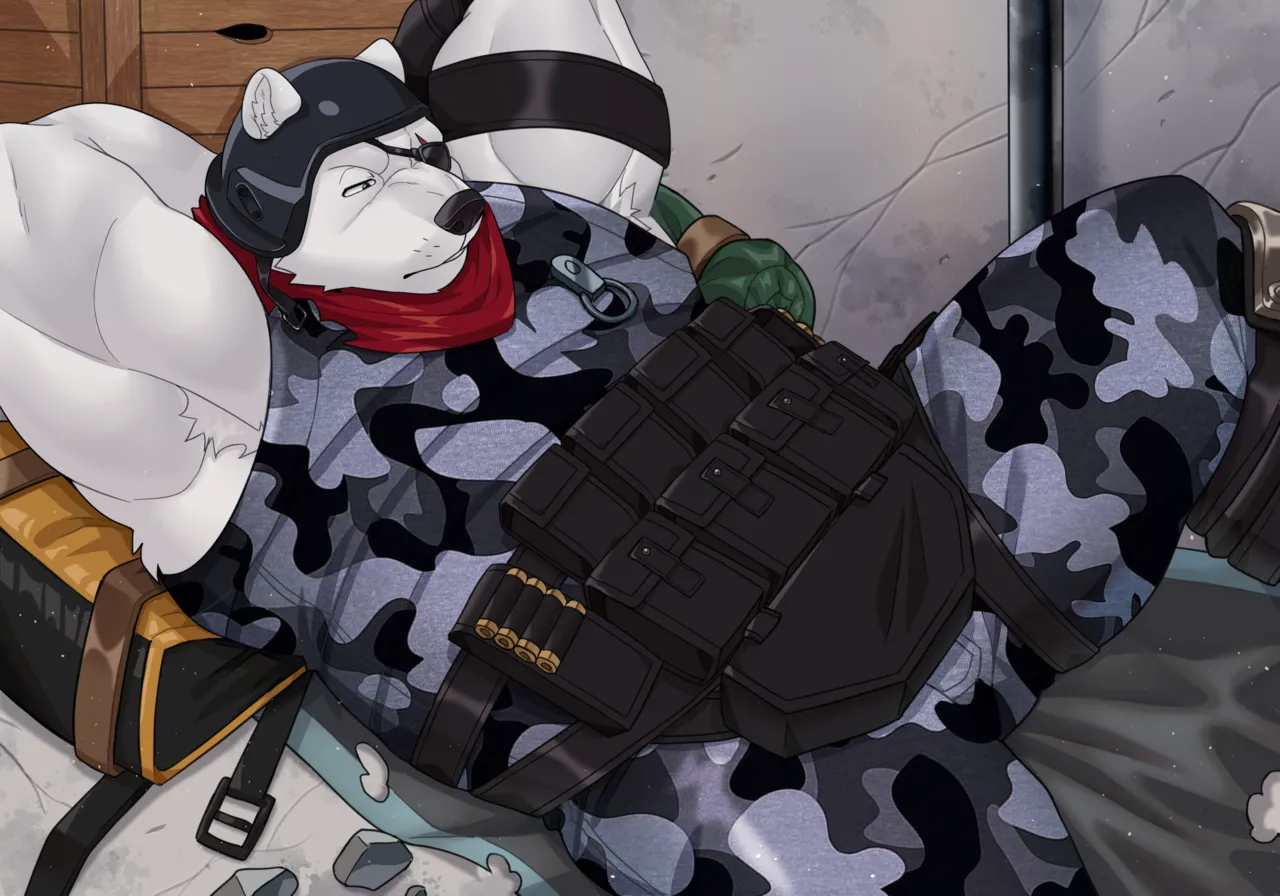 Polar Patroller page 3 full