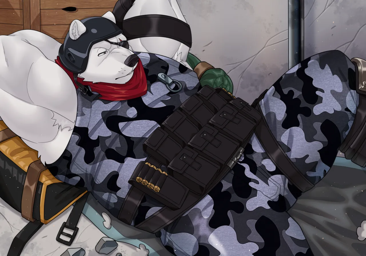 Polar Patroller page 4 full