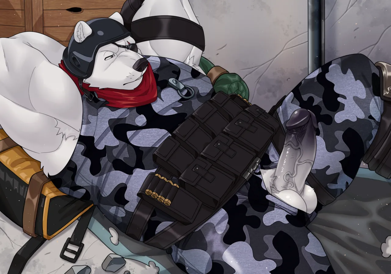 Polar Patroller page 5 full