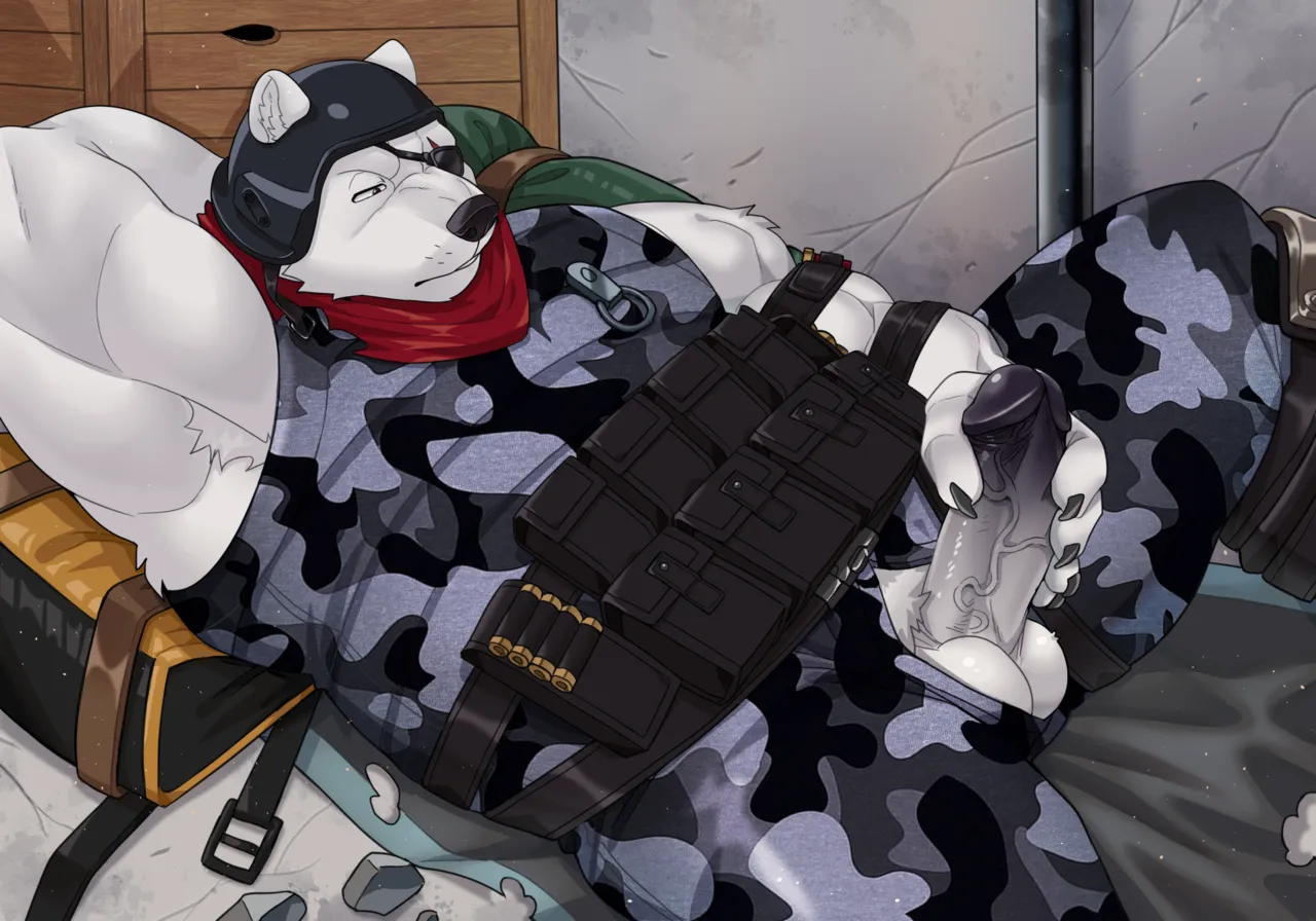 Polar Patroller page 6 full