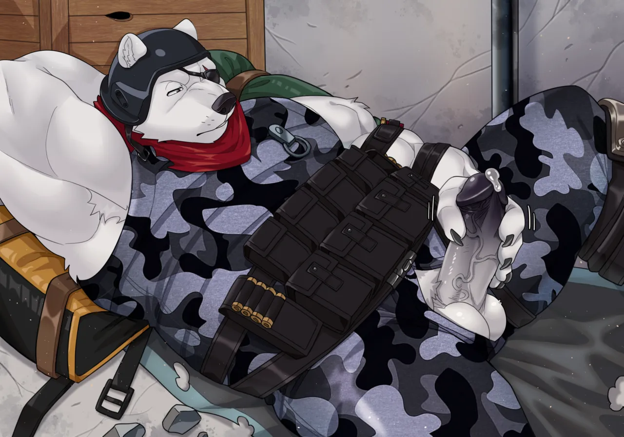 Polar Patroller page 7 full