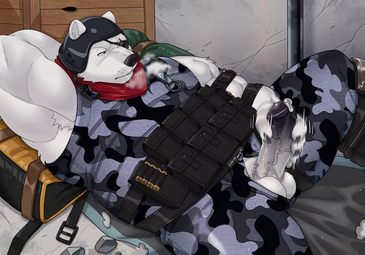 Polar Patroller page 8 full