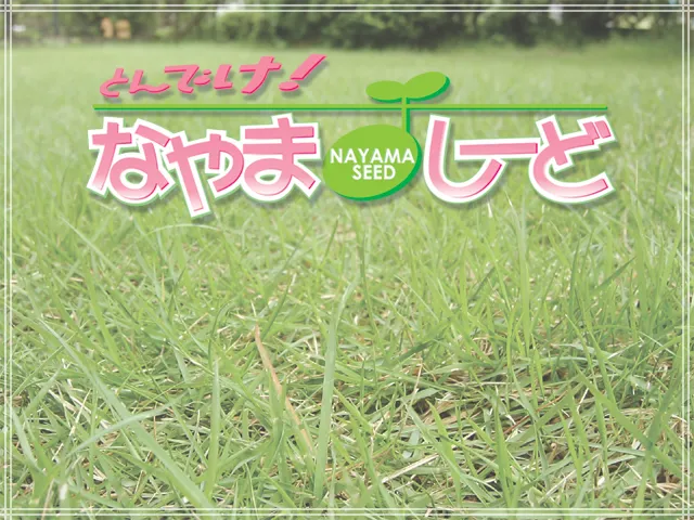 Tondeke! Nayama Seed page 2 full